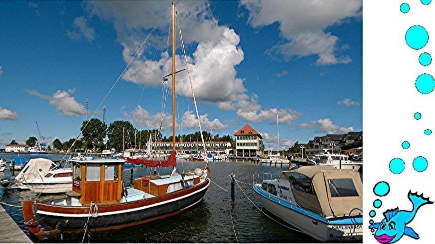 Ferienwohnung Mit Terrasse - Insel Usedom Trassenheide Ngoại thất bức ảnh