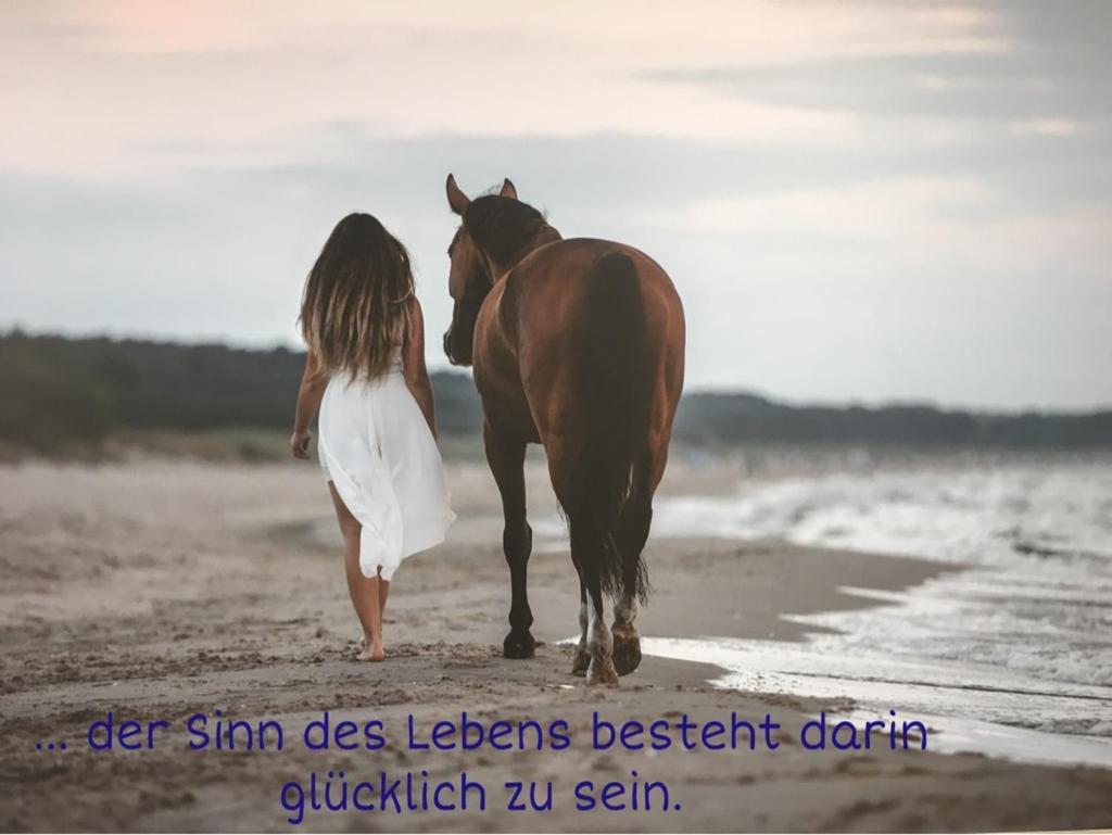 Ferienwohnung Mit Terrasse - Insel Usedom Trassenheide Ngoại thất bức ảnh