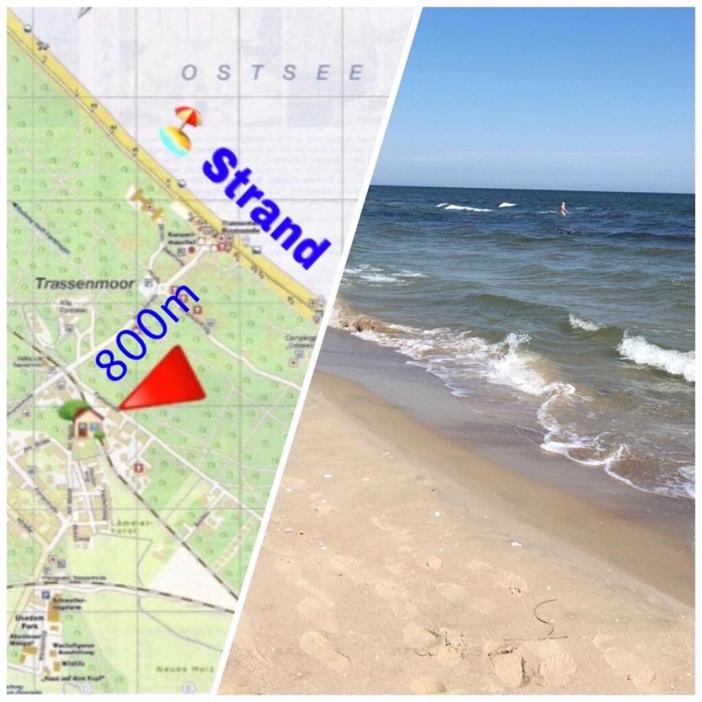 Ferienwohnung Mit Terrasse - Insel Usedom Trassenheide Ngoại thất bức ảnh