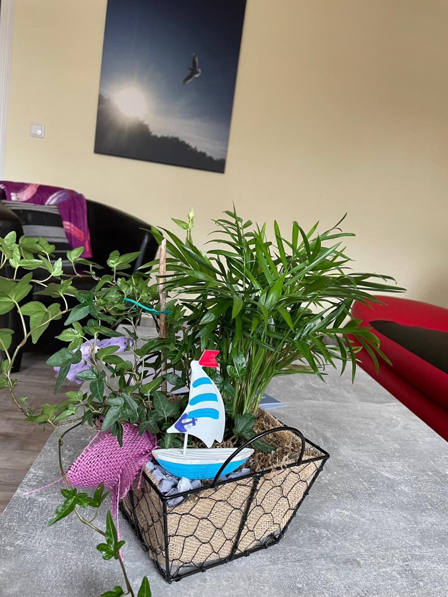 Ferienwohnung Mit Terrasse - Insel Usedom Trassenheide Ngoại thất bức ảnh