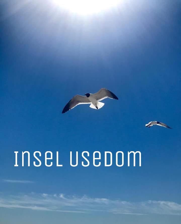 Ferienwohnung Mit Terrasse - Insel Usedom Trassenheide Ngoại thất bức ảnh